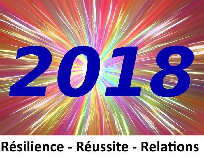 Année 2018 Résilience, Réussite et Relations